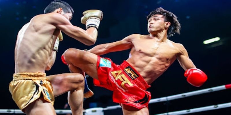 Cá Cược Quyền Thái ONE Championship Dễ Thắng Hiệu Quả 6 Bí quyết cá cược quyền Thái ONE Championship phân tích võ sĩ