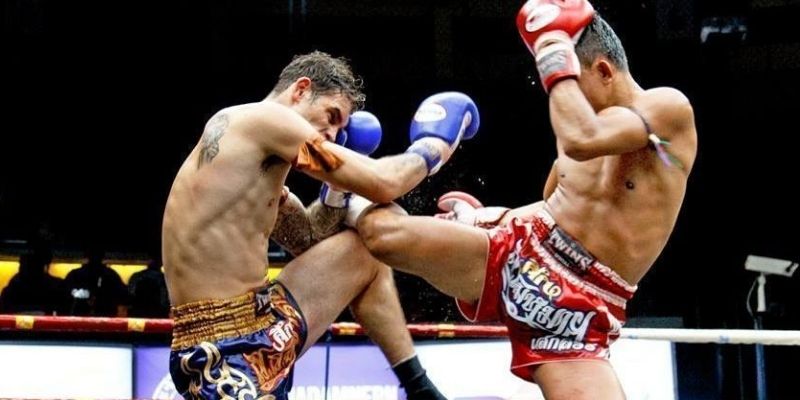 Cá Cược Quyền Thái ONE Championship Dễ Thắng Hiệu Quả 5 Tham gia cá độ quyền Thái bằng kèo thắng/thua