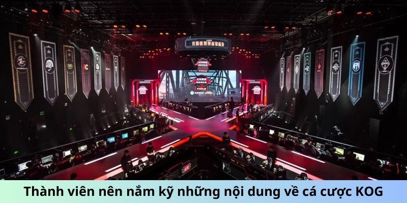 Cá Cược King of Glory Pro League - Cẩm Nang Cho Tân Thủ 4 Thành viên nên nắm kỹ những nội dung về cá cược KOG