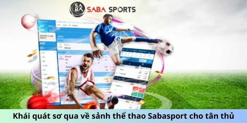 Sảnh Thể Thao Sabasport - Phấn Khích Với Mỗi Trận Đấu 4 Khái quát sơ qua về sảnh thể thao Sabasport cho tân thủ