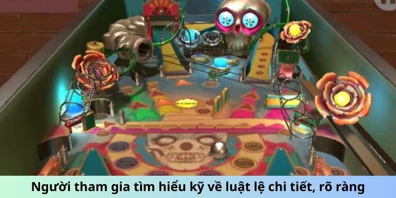 Pinball - Khi Bóng Sắt Quyết Định Vận Mệnh Của Bạn 4 Người tham gia tìm hiểu kỹ về luật lệ chi tiết, rõ ràng